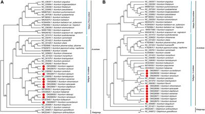 Comparative Analysis of the Chloroplast Genome for Aconitum Species: Genome Structure and Phylogenetic Relationships